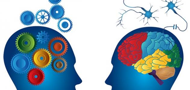 البرمجة اللغوية العصبية: دليل شامل لعام 2026