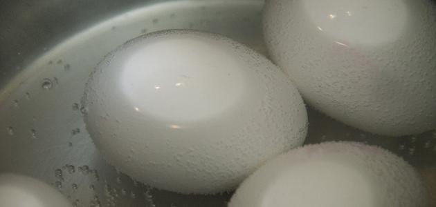 ثورة البروتين: كيف ستعيد الأطعمة الغنية بالبروتين وقليلة الكربوهيدرات تشكيل صحتك بحلول عام 2026؟