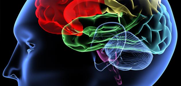 النضج: تحليل شامل لأنواعه ومفهومه في علم النفس