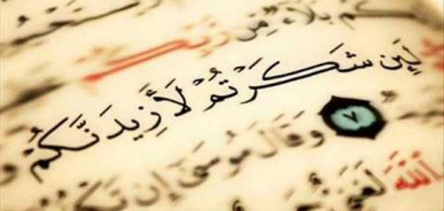 تحليل مقارن: الحمد والشكر - الفروق الجوهرية والأثر