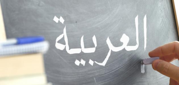 تعليم اللغة العربية للمبتدئين: ثورة في المناهج أم مجرد وهم؟ نظرة إلى 2026