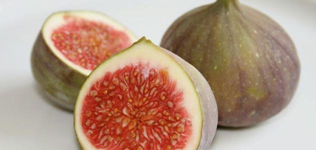 التين: كنز غذائي مهمل؟ تحليل شامل لفوائده وتوقعات 2026