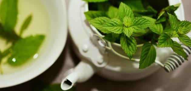 أفضل أعشاب لتهدئة المعدة وتخفيف اضطرابات الجهاز الهضمي