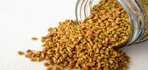 فوائد الحلبة الصحية المتعددة