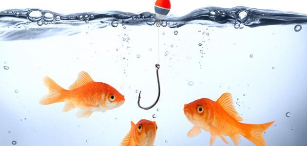 تألقي بجاذبية الكولاجين: سر البشرة النضرة 2026