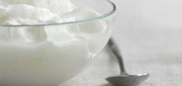 الدليل الشامل: فوائد الزبادي للقولون وأهم النصائح 2026