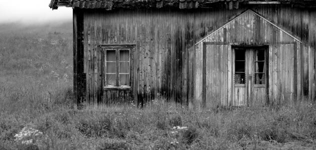 كيف عاش الإنسان القديم: نظرة على الحياة والتطور