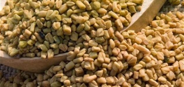 حلبة 2026: سرّكِ الطبيعي لزيادة الوزن المتألقة