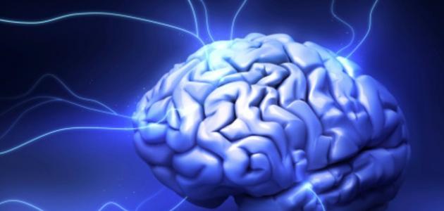 الذكاء: تحليل شامل للمفهوم والأنواع والاختلافات الدماغية (2026)