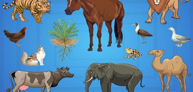 الكائنات الحية: تأثيرها العميق على حياتنا ومستقبلنا حتى عام 2026