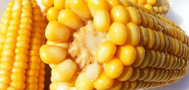 أهمية الذرة الصفراء للحامل وفوائدها الصحية