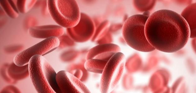 نقص الصفائح الدموية عند الأطفال حديثي الولادة: وباء صامت يهدد مستقبل 2026