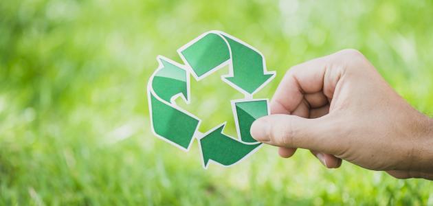 إعادة التدوير: جمال مستدام لمستقبل أخضر