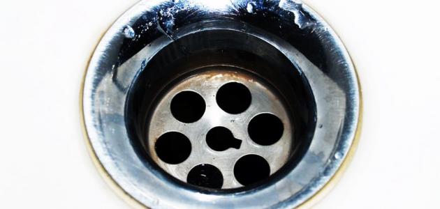 القضاء على الصراصير في المجاري: من الماضي إلى حلول 2026 الحاسمة