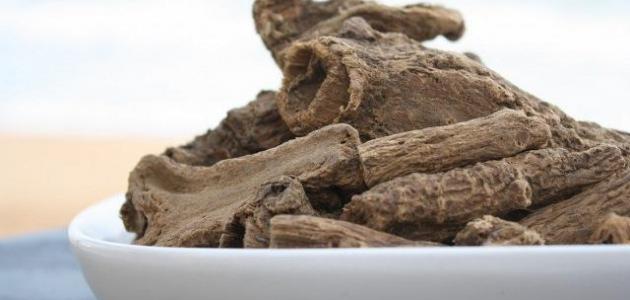 القسط الهندي وتكيس المبايض: الفوائد، الأضرار، والأعشاب البديلة