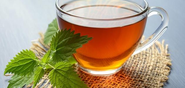 راحة قولونك تبدأ هنا: قوة الأعشاب الطبيعية (2026)