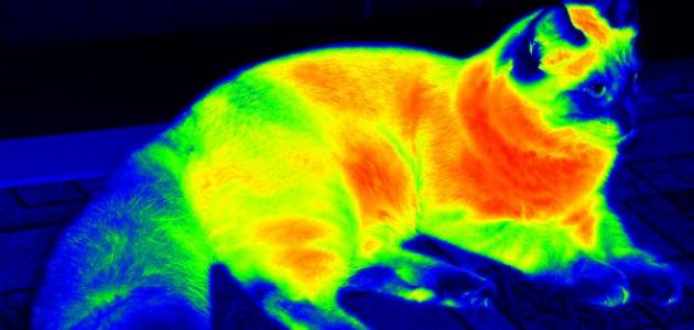 الأشعة تحت الحمراء: خصائصها، استخداماتها، وتأثيرها