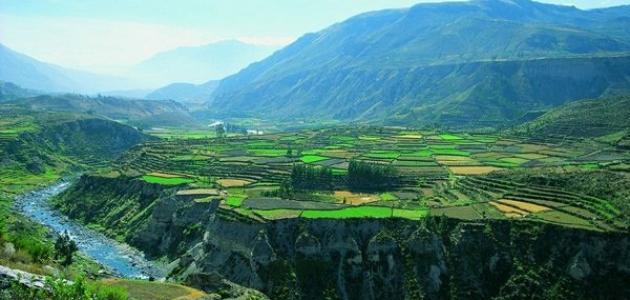 الطبيعة والثقافة: كيف يشكل الإنسان عالمه الخاص؟