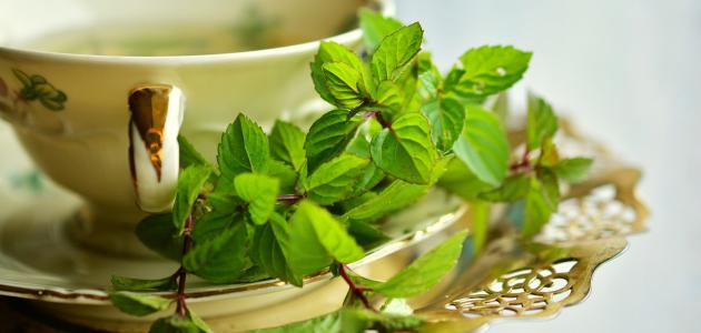 التخلص من الغازات بالأعشاب: هل هي الحل الأمثل في 2026؟