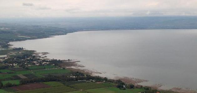 اكتشاف مصادر المياه في البحيرات: دليل الوالدين الصغير