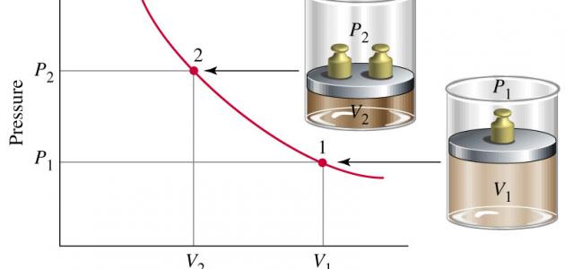 تألقي ببشرة مشدودة: سر الكولاجين البحري لعام 2026