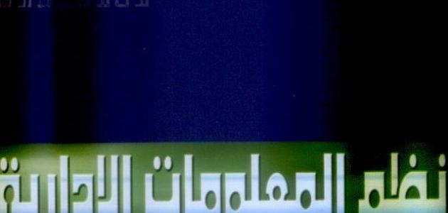 كل ما تريد معرفته عن تخصص نظم المعلومات الإدارية: دليل شامل 2026