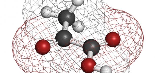 تفكيك حمض البيروفيك: من الماضي إلى مستقبل الطاقة الحيوية في 2026