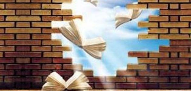 ما هي الثقافة العامة؟ تعريف شامل وأهميتها في المجتمعات