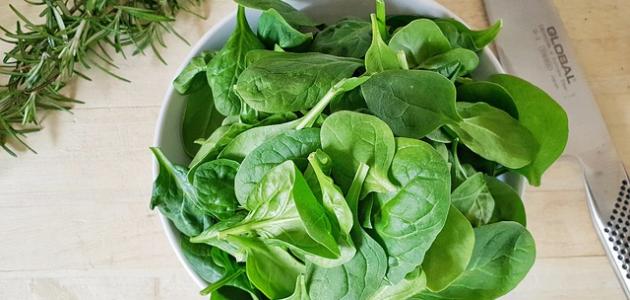 السبانخ: أكثر من مجرد طعام، ثورة غذائية نحو 2026