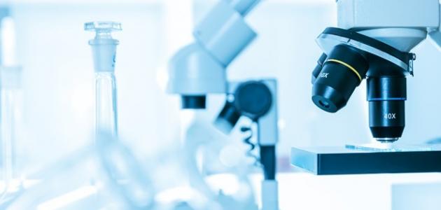 إشراقة الكولاجين البحري: بشرة متألقة في 2026