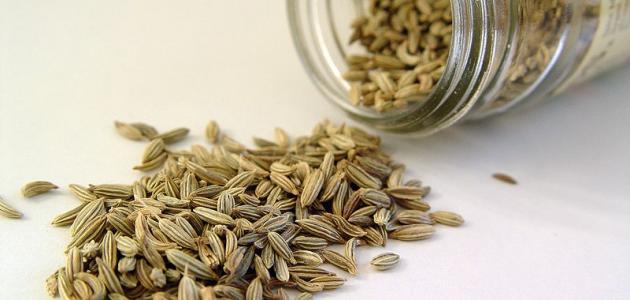 الشمر واليانسون: فوائد سحرية للتنحيف وإنقاص الوزن (دليل 2026)