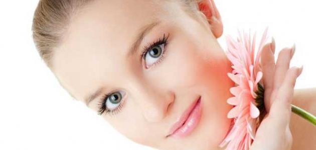 أكلات تسمن الوجه: دليل شامل