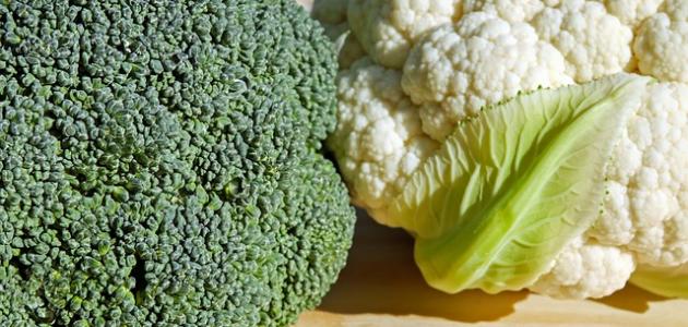 تحليل علمي: أطعمة تزيد هرمون التستوستيرون عند الرجال وتأثيرها