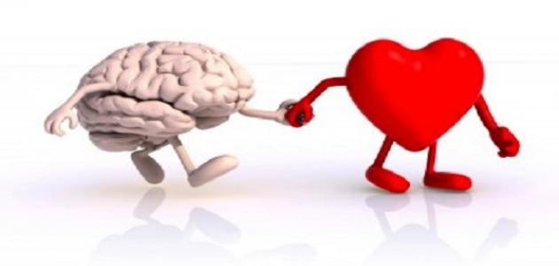 كيف تطور ذكائك العاطفي: دليل شامل لتحسين علاقاتك ونجاحك