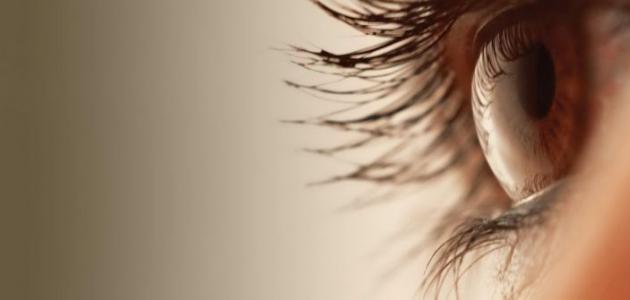 اعتلال الشبكية المرتبط بتقدم العمر: الأسباب والأنواع والعوامل المؤثرة