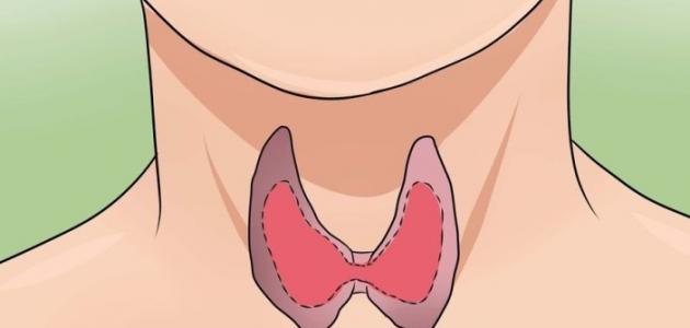 نظام غذائي لمرضى خمول الغدة الدرقية