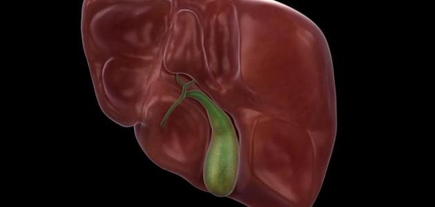 أسباب وعلامات إزالة المرارة وأهمية الجراحة