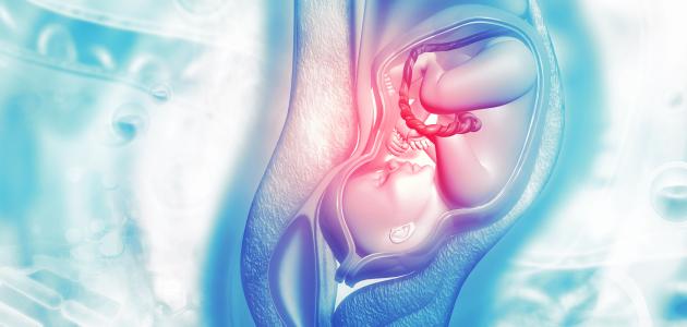 أنواع الولادة: الطبيعية والقيصرية وأسبابها