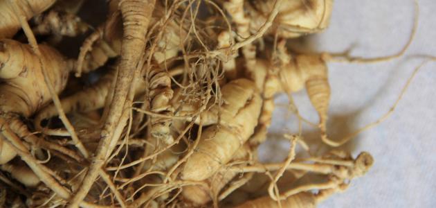فوائد الجنسنغ وتأثيره الإيجابي على الكبد