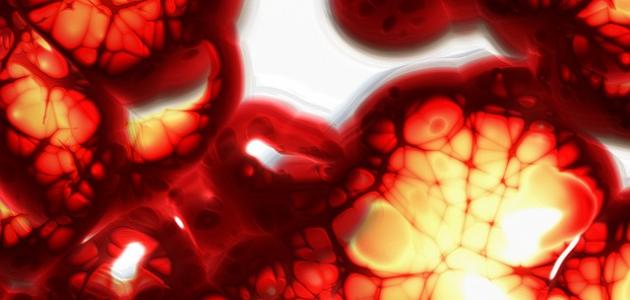 مكونات ووظائف بلازما الدم