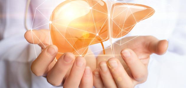 أسباب ارتفاع إنزيم الكبد ALT وتأثيراته