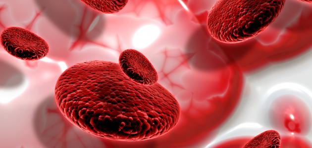 أهمية الدم في جسم الإنسان ودوره الحيوي