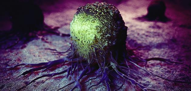 ارتفاع دلالات الأورام وأهميتها في الكشف عن السرطان