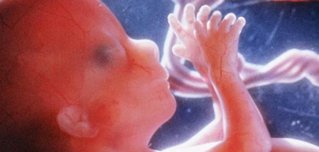 أسباب ضعف نبض الجنين وتأثيرها على الحمل