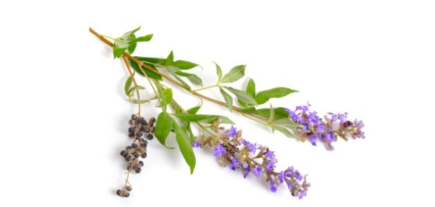 مشروبات تعزز الخصوبة وتساعد على الحمل