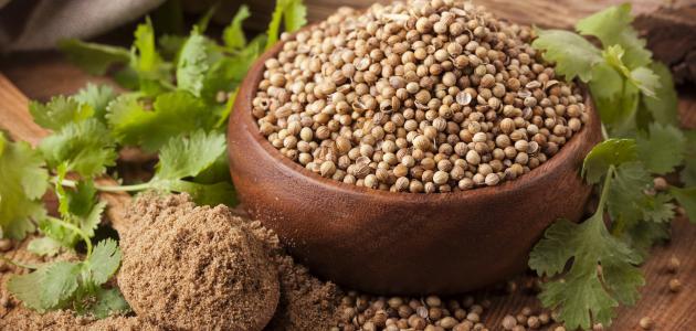 فوائد الكزبرة الجافة الصحية