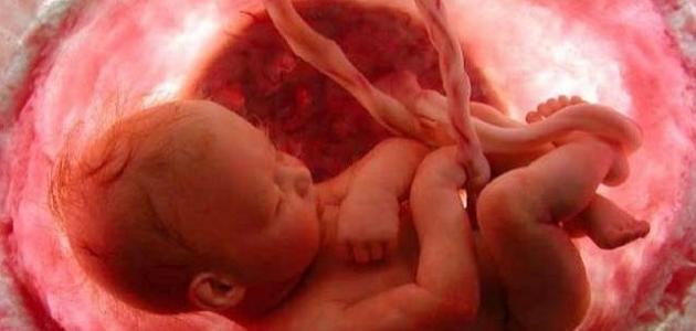 كيفية التأكد من صحة الجنين ومراقبة نموه