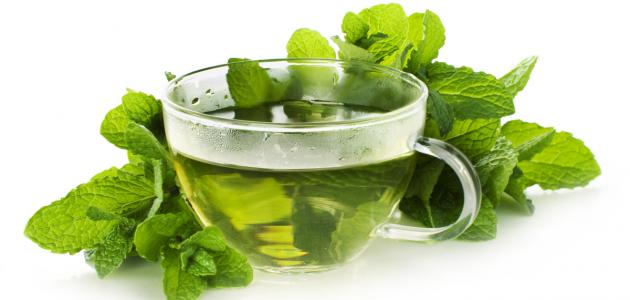 فوائد النعناع المغلي: دراسة شاملة
