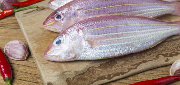 أضرار الإكثار من تناول السمك وتأثير الزئبق على الصحة