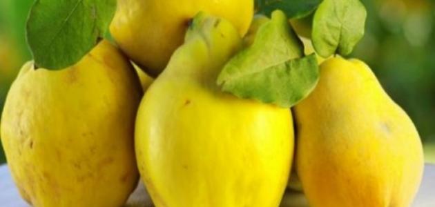 فوائد السفرجل للبشرة والصحة العامة